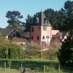 Waipara Wine Experience for 2 or more, inc tastings and lunch - Detailed Breakdown of the Itinerary