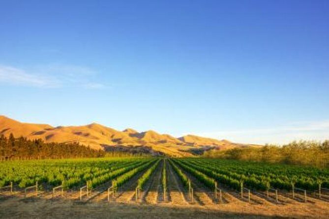 Waipara Wine Tour from Christchurch - including Lunch & Tastings - Practical Details & Tips
