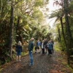 Waitakere Ranges Wilderness Experience Tour from Auckland - Why Choose This Tour?