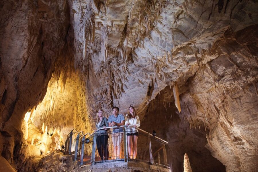 Waitomo Caves: Ruakuri Cave 1.5 Hour Guided Tour - Why This Tour Is Worth the Price