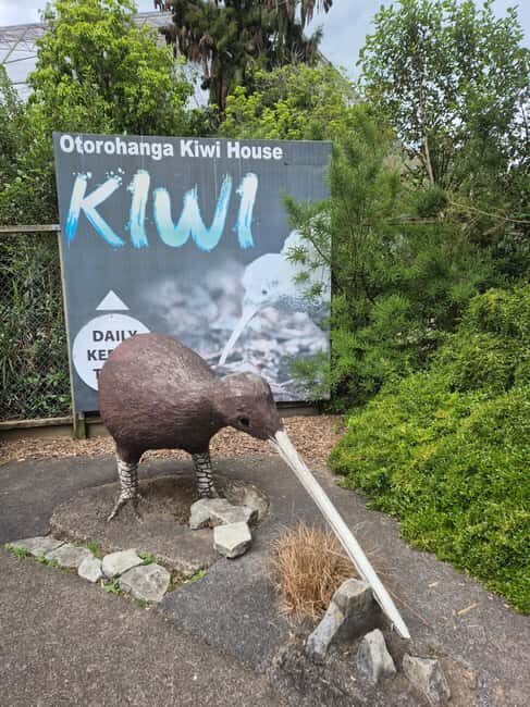 Waitomo: Caves to Kiwis eBike ride - Frequently Asked Questions