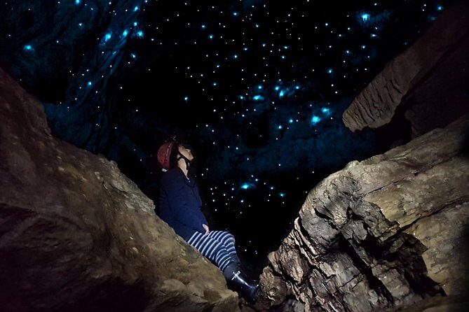 Waitomo - Eco Adventure Glowworm Cave Tour - Off the Beaten Track - The Itinerary in Detail