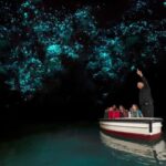WAITOMO GLOWWORM CAVES & HAMILTON GARDENS - PRIVATE TOUR - Why This Tour Offers Great Value