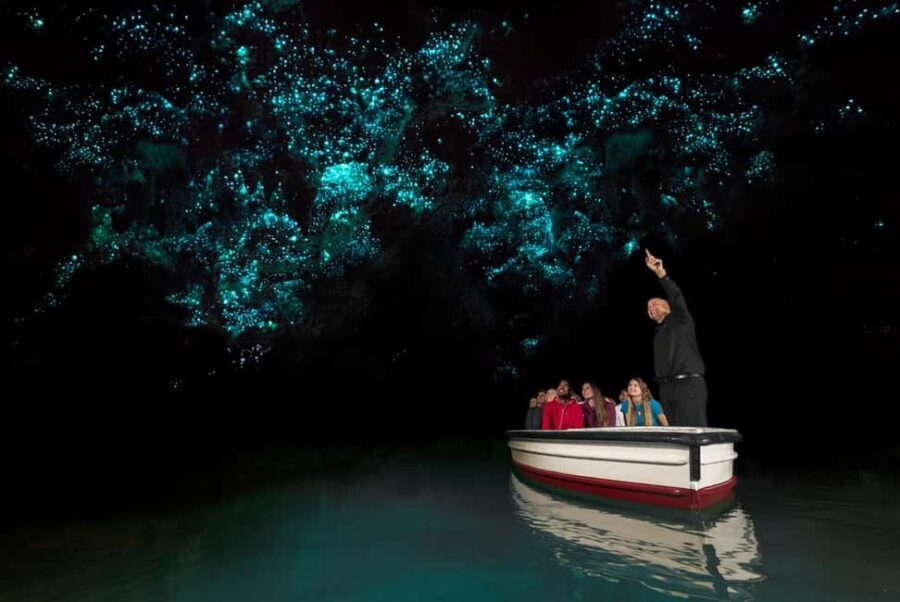 WAITOMO GLOWWORM CAVES & HAMILTON GARDENS - PRIVATE TOUR - Why This Tour Offers Great Value