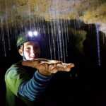 Waitomo: Guided Eco-Cave Tour - What’s Included and Practical Details