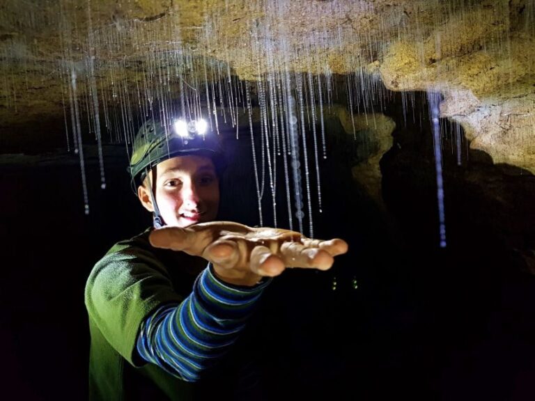 Waitomo: Guided Eco-Cave Tour - What’s Included and Practical Details
