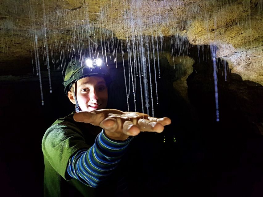 Waitomo: Guided Eco-Cave Tour - What’s Included and Practical Details