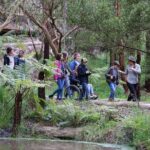 Walk with Wildlife: Guided Tour in Great Ocean Road - The Sum Up