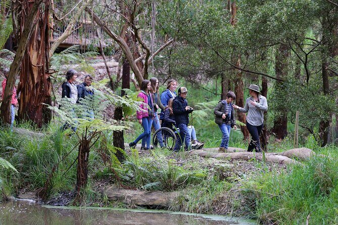 Walk with Wildlife: Guided Tour in Great Ocean Road - The Sum Up