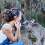 Wallabies and Wine Hunter Valley Adventure Private Tour - The Experience Timeline: What You Can Expect