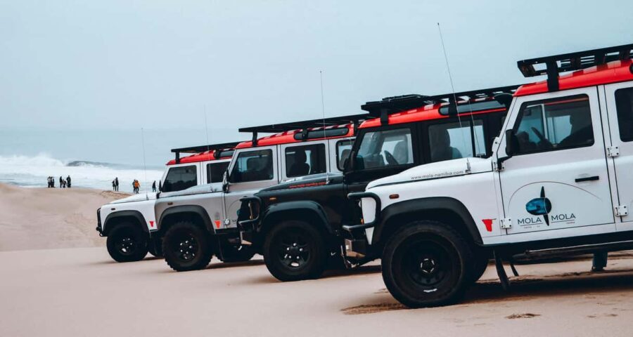 Walvis Bay: Dolphin Cruise, Pink Lakes and 4x4 Dune Drive - Who Should Book This Tour?
