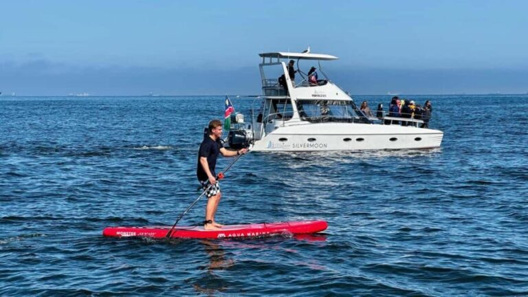 Walvis Bay: Seal Kayaking Adventure with Brunch - The Brunch: A Beachside Feast