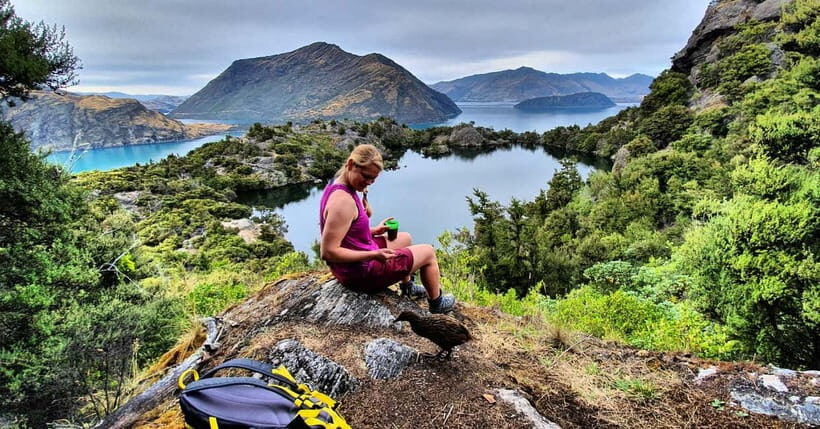 Wanaka: Mou Waho Island Boat Tour and Nature Walk - Practical Details and Value