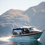 Wanaka: Water Taxi & Mou Waho Island Tour - Encountering Native Birdlife: Weka & More