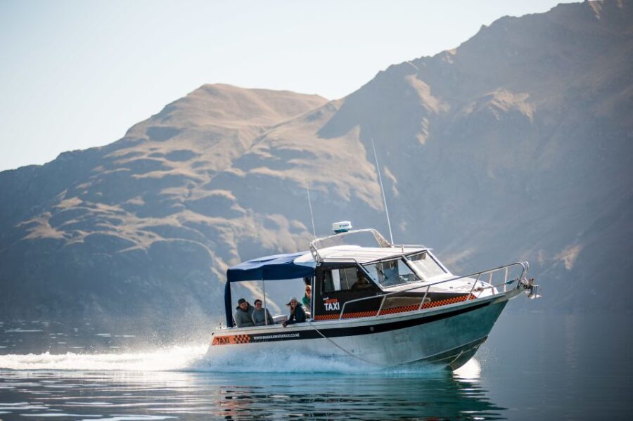 Wanaka: Water Taxi & Mou Waho Island Tour - Encountering Native Birdlife: Weka & More
