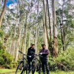 Warburton: Redwood Forest Mountain Bike Adventure - Why We Think This Tour Is Worth It