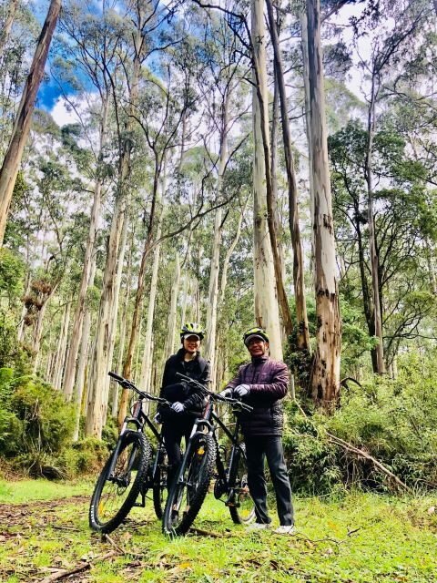 Warburton: Redwood Forest Mountain Bike Adventure - Why We Think This Tour Is Worth It