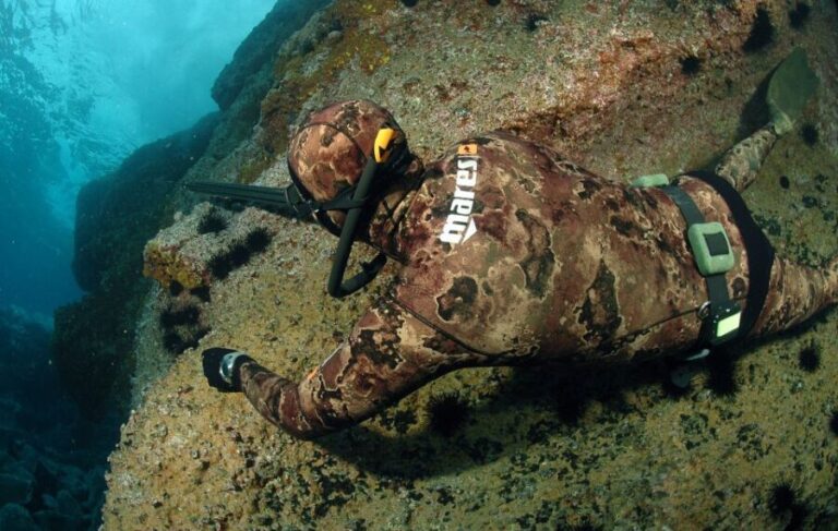 Warkworth: Full-Day Spearfishing Charter - Final Thoughts