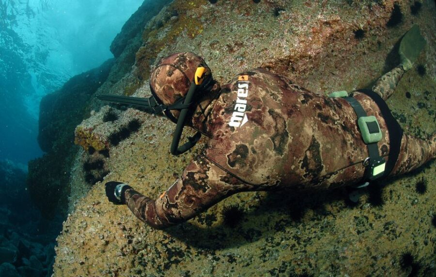 Warkworth: Full-Day Spearfishing Charter - Final Thoughts