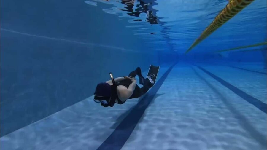 Warkworth: SSI Basic Freediving Course - The Itinerary: What to Expect