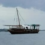 Wasini: Snorkelling & Dolphin Watching on a Dhow & Visit - The Marine Park and Islands: What to Expect