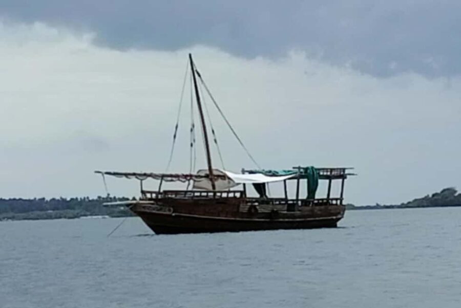 Wasini: Snorkelling & Dolphin Watching on a Dhow & Visit - The Marine Park and Islands: What to Expect