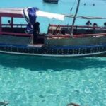 Wasini:, Swimming with the Dolphins - Practical Details and Tips for the Tour