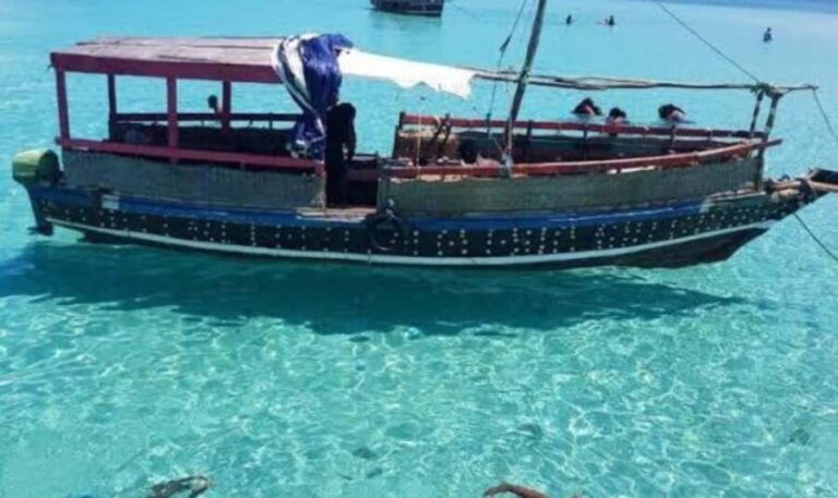 Wasini:, Swimming with the Dolphins - Practical Details and Tips for the Tour