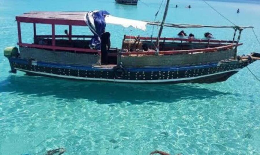 Wasini:, Swimming with the Dolphins - Practical Details and Tips for the Tour