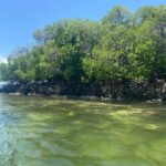 Watamu: Blue Snorkeling Safari, Mida Creek, and lobsters on Sudi Island - FAQ