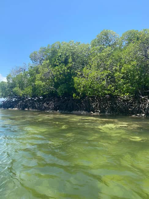 Watamu: Blue Snorkeling Safari, Mida Creek, and lobsters on Sudi Island - FAQ