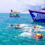 Watamu: Marine Park Snorkeling and Dolphin Spotting Tour - The Value and Why It’s Worth It