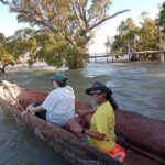 Watamu: Sunset Mangrove Canoe Tour with Coconut Drink - Wildlife Encounters and Natural Highlights