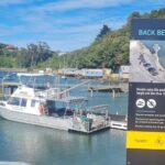 Water Taxi and Shuttle to Larnach Castle - Practical Details and Tips for Travelers
