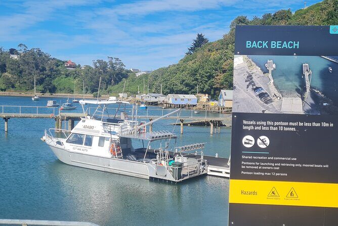 Water Taxi and Shuttle to Larnach Castle - Practical Details and Tips for Travelers