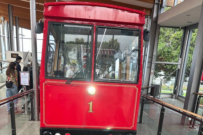 Wellington city heights shared sightseeing tour - Why This Tour Outshines Others