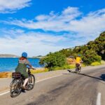 Wellington Electric Bike Rental - Who Will Love This Experience?