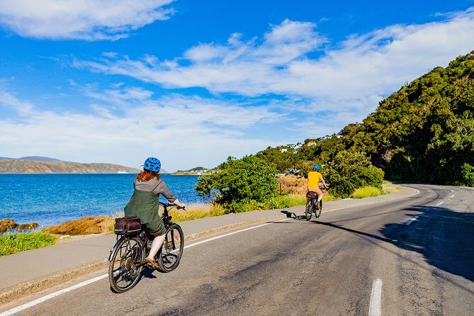 Wellington Electric Bike Rental - Who Will Love This Experience?