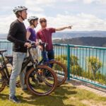 Wellington Guided eBike Tour-Cruise Shore Excursion - Final Thoughts: Is This Tour Worth It?