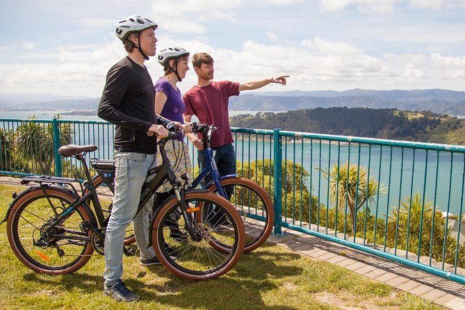 Wellington Guided eBike Tour-Cruise Shore Excursion - Final Thoughts: Is This Tour Worth It?