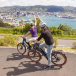 Wellington: Guided Sightseeing Tour by Electric Bike - What to Expect from the Tour