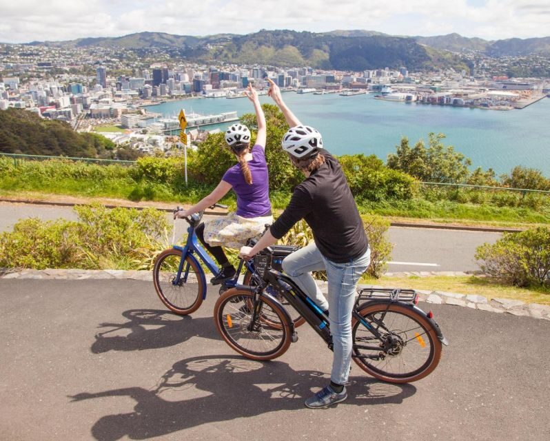 Wellington: Guided Sightseeing Tour by Electric Bike - What to Expect from the Tour