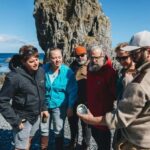 Wellington: Half Day Seal Coast Safari - What’s Included and What to Prepare