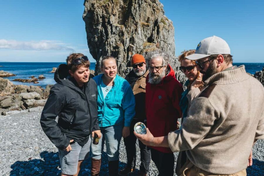 Wellington: Half Day Seal Coast Safari - What’s Included and What to Prepare