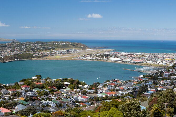 Wellington Heritage Explorer - Who Will Love This Tour?