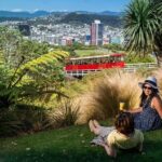 Wellington Highlights Cave to Coast Tour with Lunch - Transportation & Duration