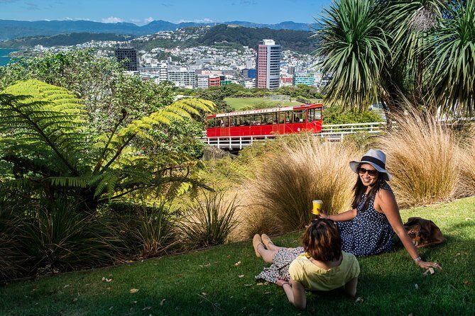 Wellington Highlights Cave to Coast Tour with Lunch - Transportation & Duration