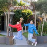 Wellington: Highlights Tour with a Local Guide - Practical Details and Tips