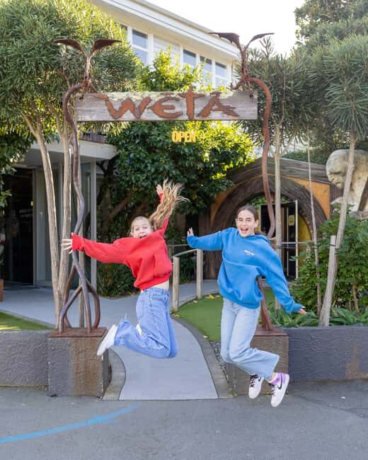 Wellington: Highlights Tour with a Local Guide - Practical Details and Tips