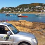 Wellington: Private Day Tour with Lunch - The Value of This Tour